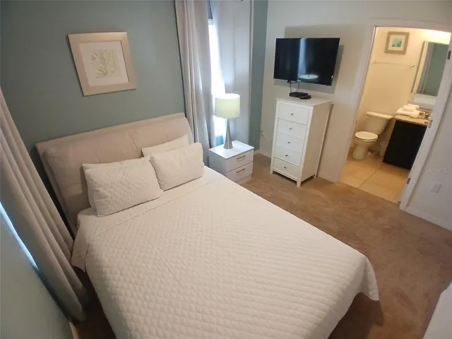 a view of a park with large trees