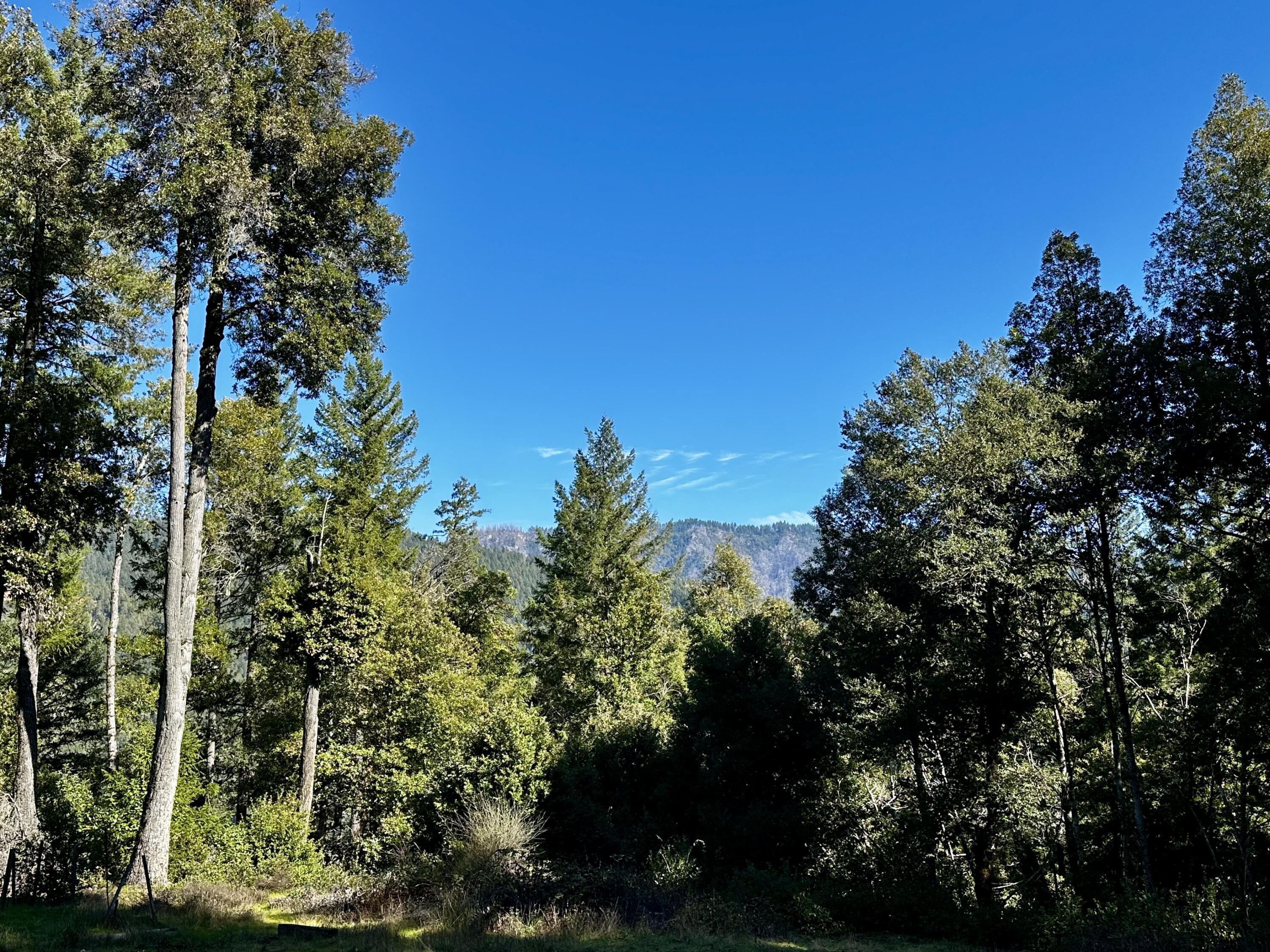 130 West Suzy Q Road Salyer, CA 95563 - Photo 14 of 18