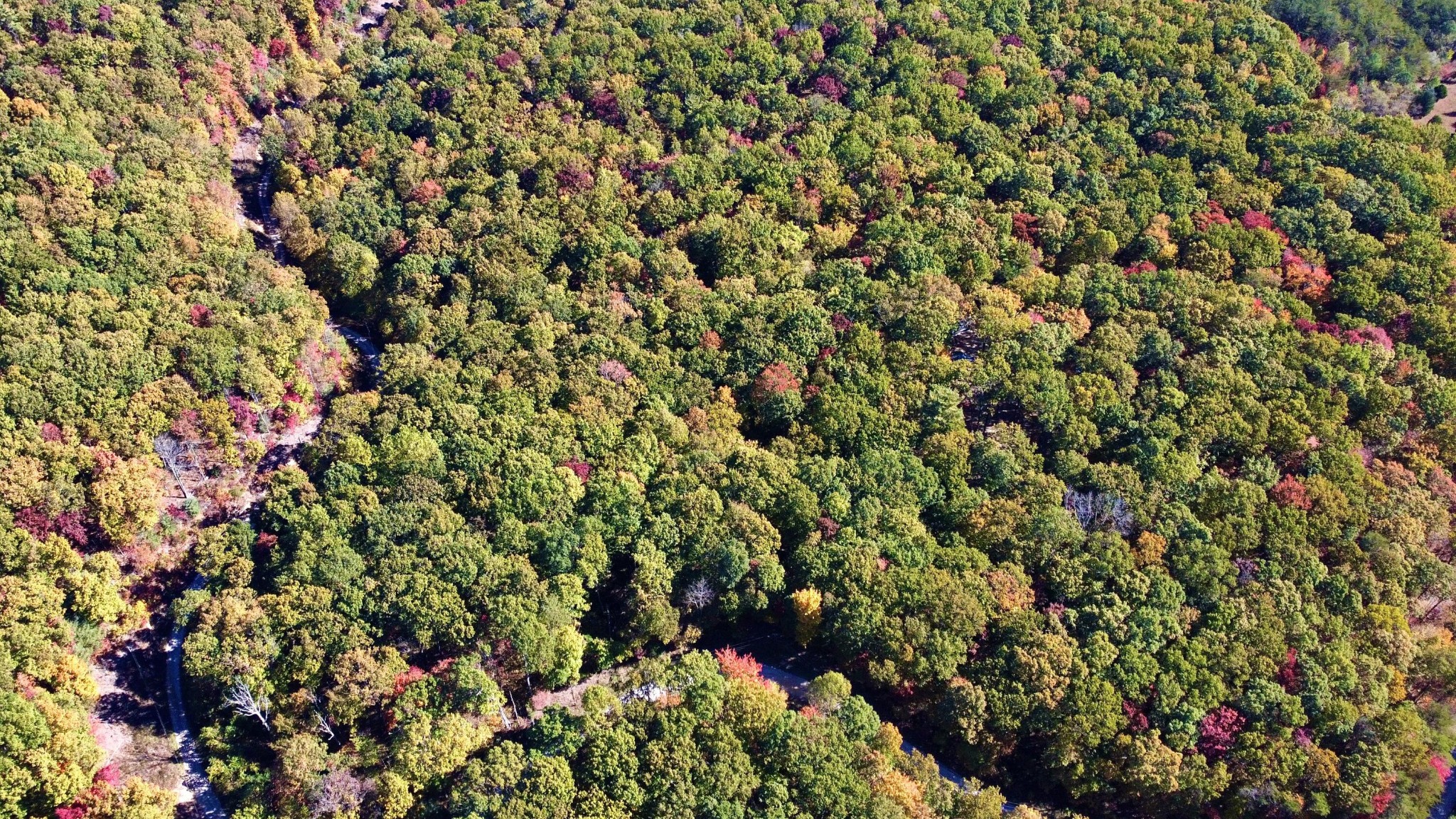 17 Log Road Spring City, TN 37381 - Photo 3 of 14 Gallery Image 3