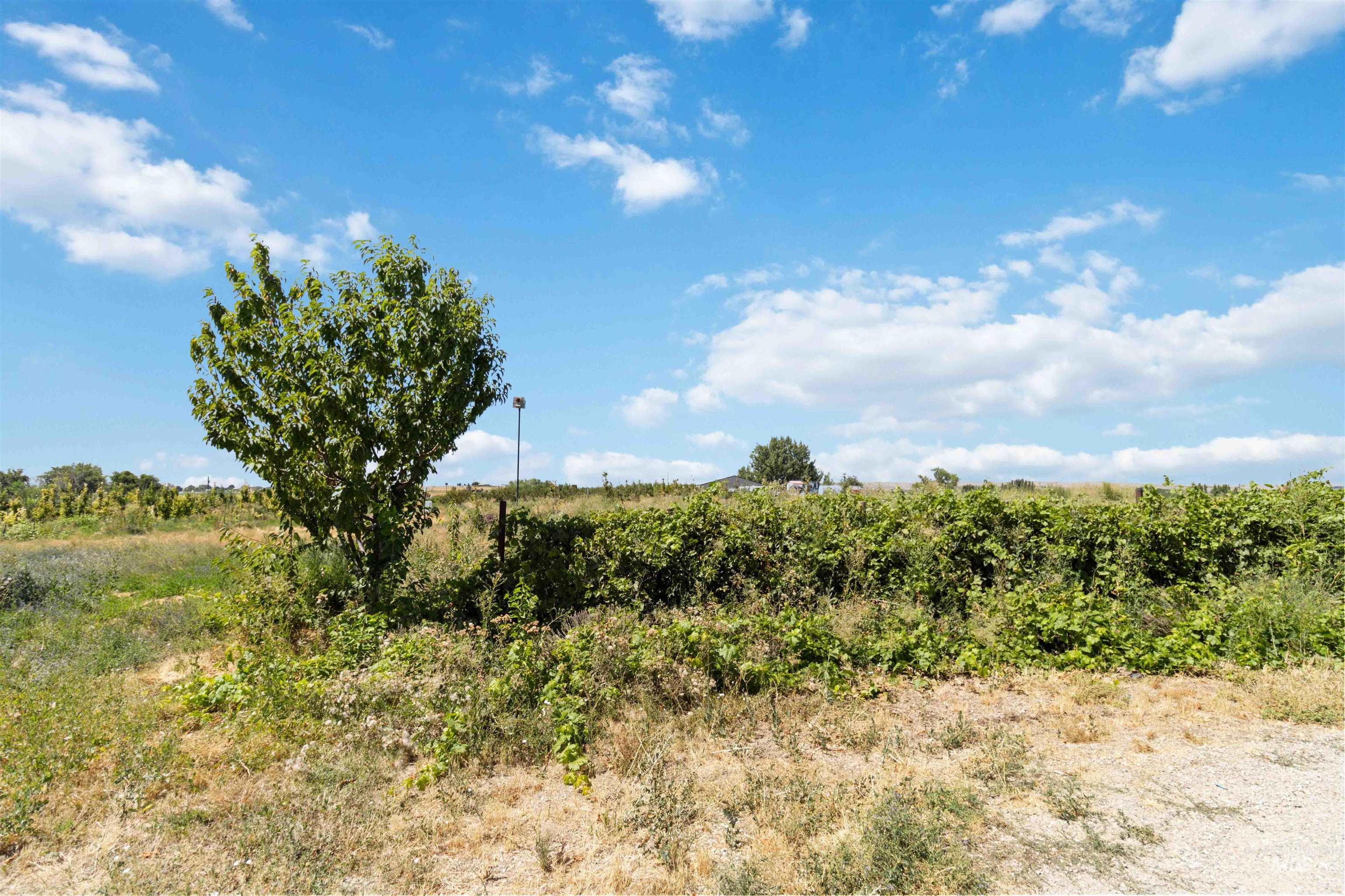 27260 Hop Road Caldwell, ID 83607 - Photo 16 of 21 View of nature featuring rural landscape