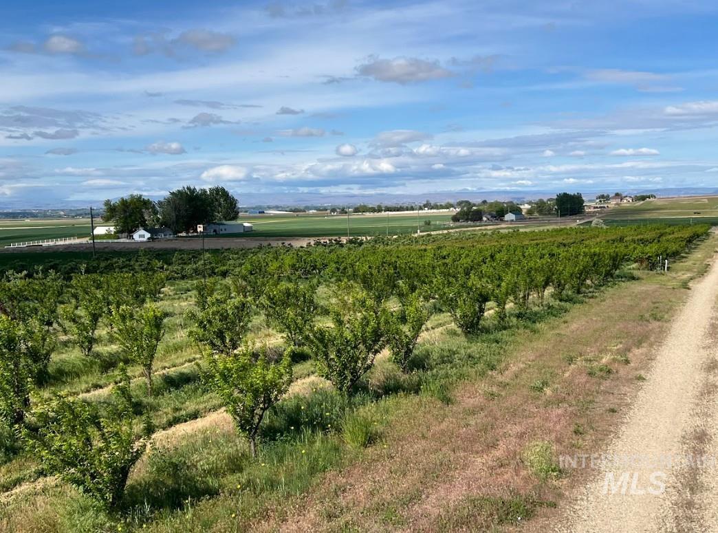 27260 Hop Road Caldwell, ID 83607 - Photo 19 of 21 View of nature with rural landscape and large plots for crops