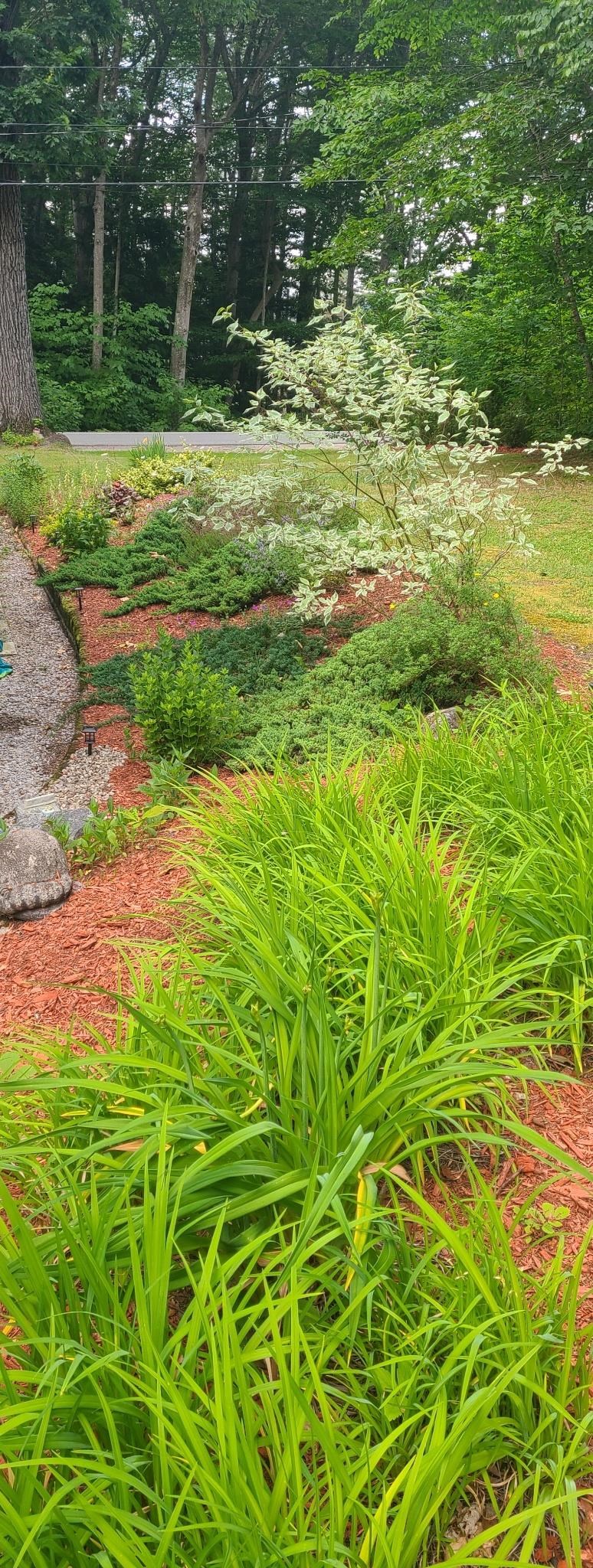 119 Black Brook Road Meredith, NH 03253 - Photo 45 of 46