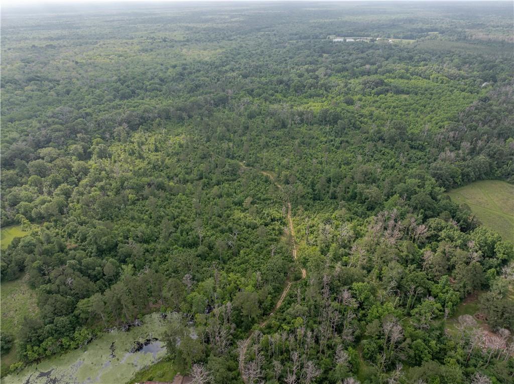 0 Stock Landing Road Deville, LA 71328 - Photo 6 of 9