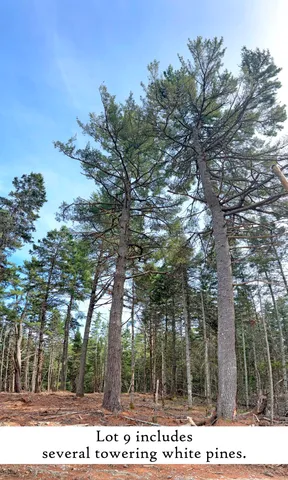 $3,200,000 | 18 Hamor Lane, Bar Harbor, ME 04609