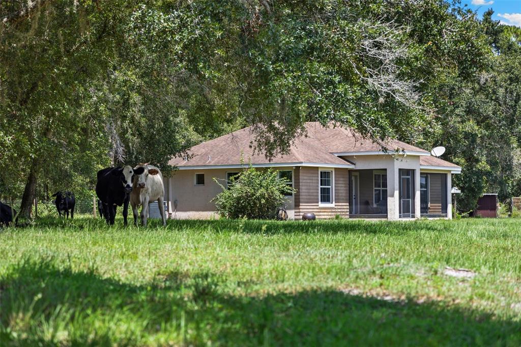 14765 Highway 41 Spring Hill, FL 34610 - Photo 2 of 61 a front view of a house with a garden