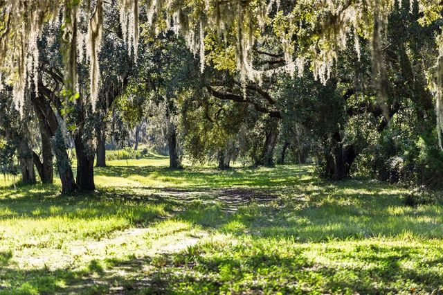 a view of an ocean from a yard