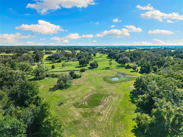 a view of green landscape with trees in the background