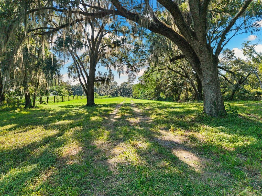 14765 Highway 41 Spring Hill, FL 34610 - Photo 3 of 61 a view of a trees with a yard