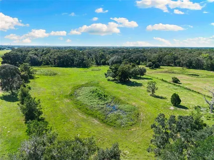 a view of a park with large trees