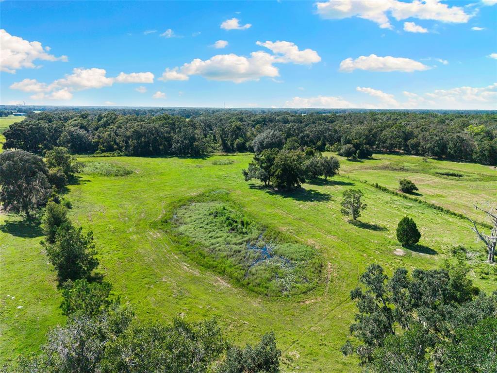 14765 Highway 41 Spring Hill, FL 34610 - Photo 36 of 61