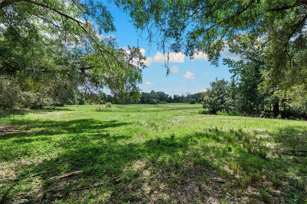 14765 Highway 41 Spring Hill, FL 34610 - Photo 38 of 61 a view of a grassy field with trees