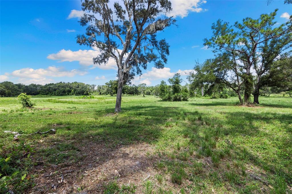 14765 Highway 41 Spring Hill, FL 34610 - Photo 40 of 61 a view of a garden with a tree