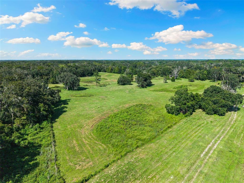14765 Highway 41 Spring Hill, FL 34610 - Photo 4 of 61 a view of an outdoor space and a yard
