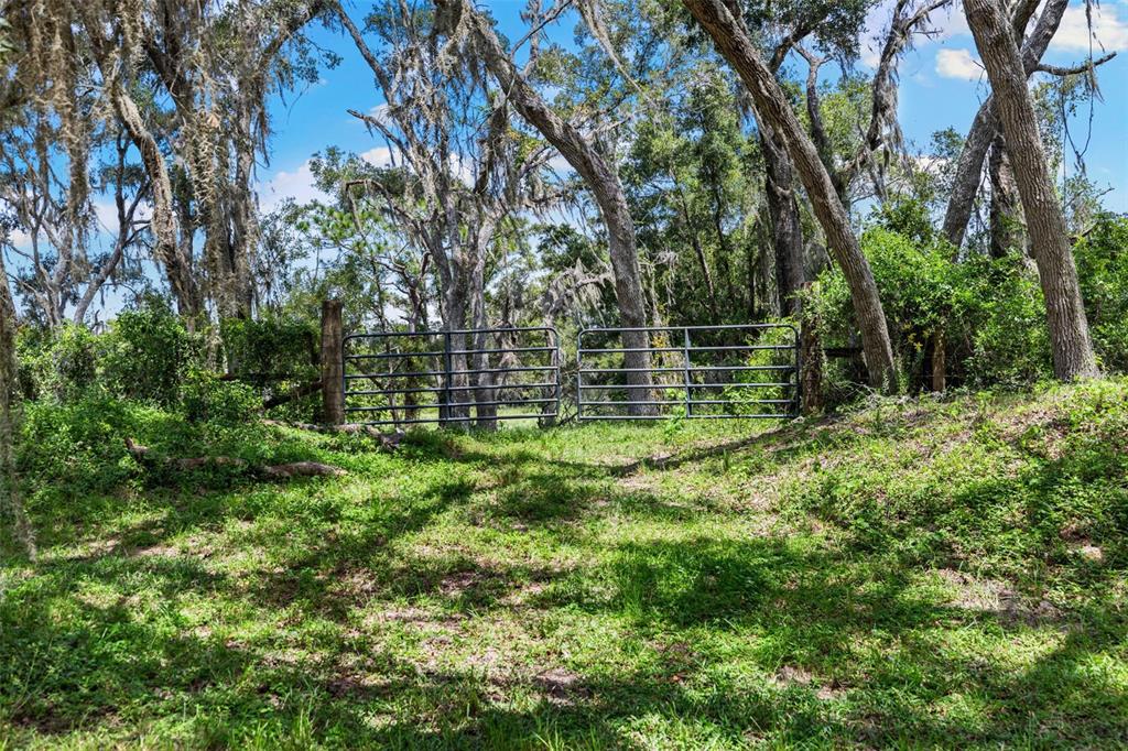 14765 Highway 41 Spring Hill, FL 34610 - Photo 41 of 61 a large yard with lots of green space and house in the back