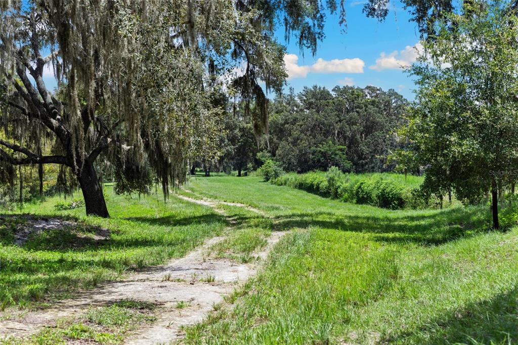 14765 Highway 41 Spring Hill, FL 34610 - Photo 42 of 61 a view of a tree in a yard