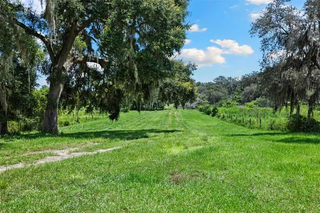 a view of a house with backyard and trees