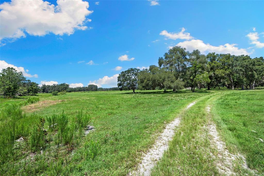 14765 Highway 41 Spring Hill, FL 34610 - Photo 50 of 61 a view of a grassy field