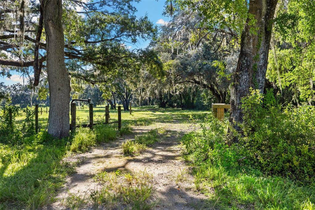14765 Highway 41 Spring Hill, FL 34610 - Photo 55 of 61 a view of a park with large trees