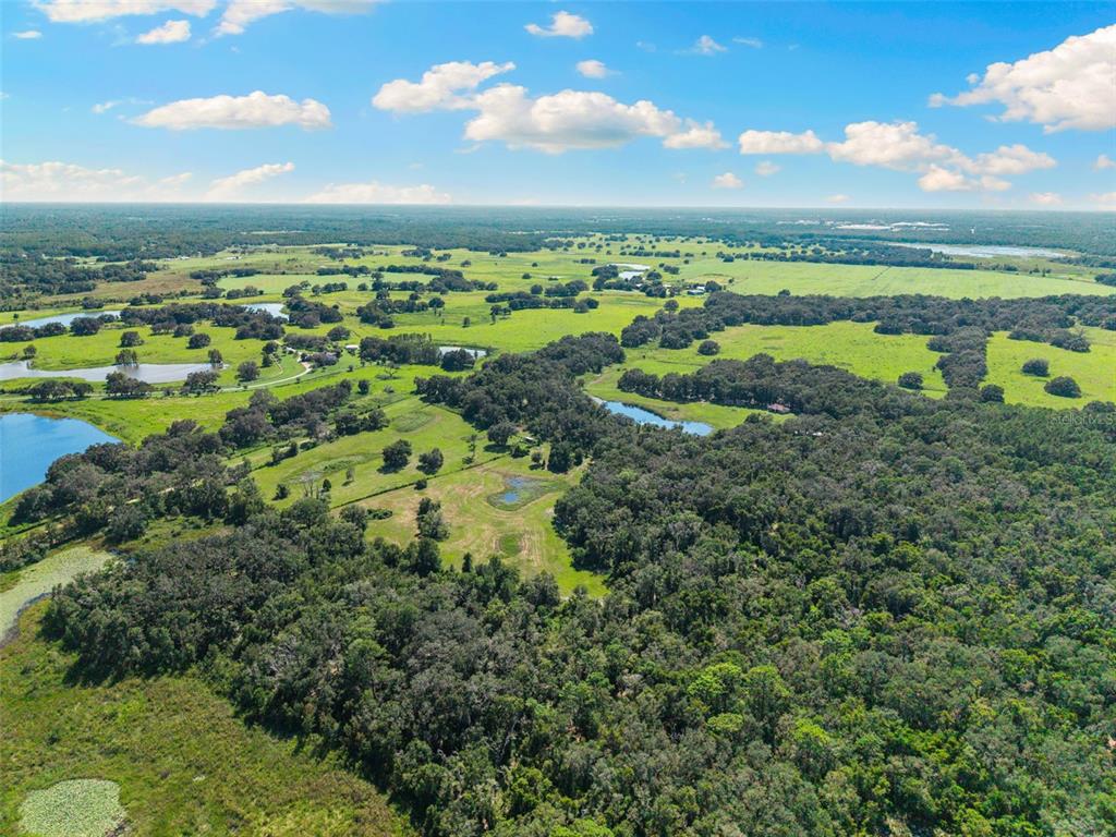 14765 Highway 41 Spring Hill, FL 34610 - Photo 56 of 61 a view of a city