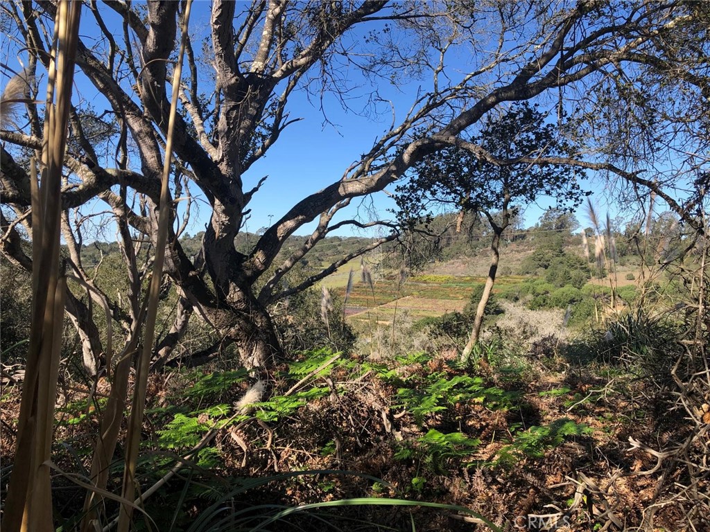 221 Tucker Road Watsonville, CA 95076 - Photo 28 of 31