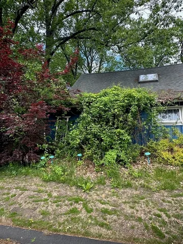 a backyard of a house with lots of green space