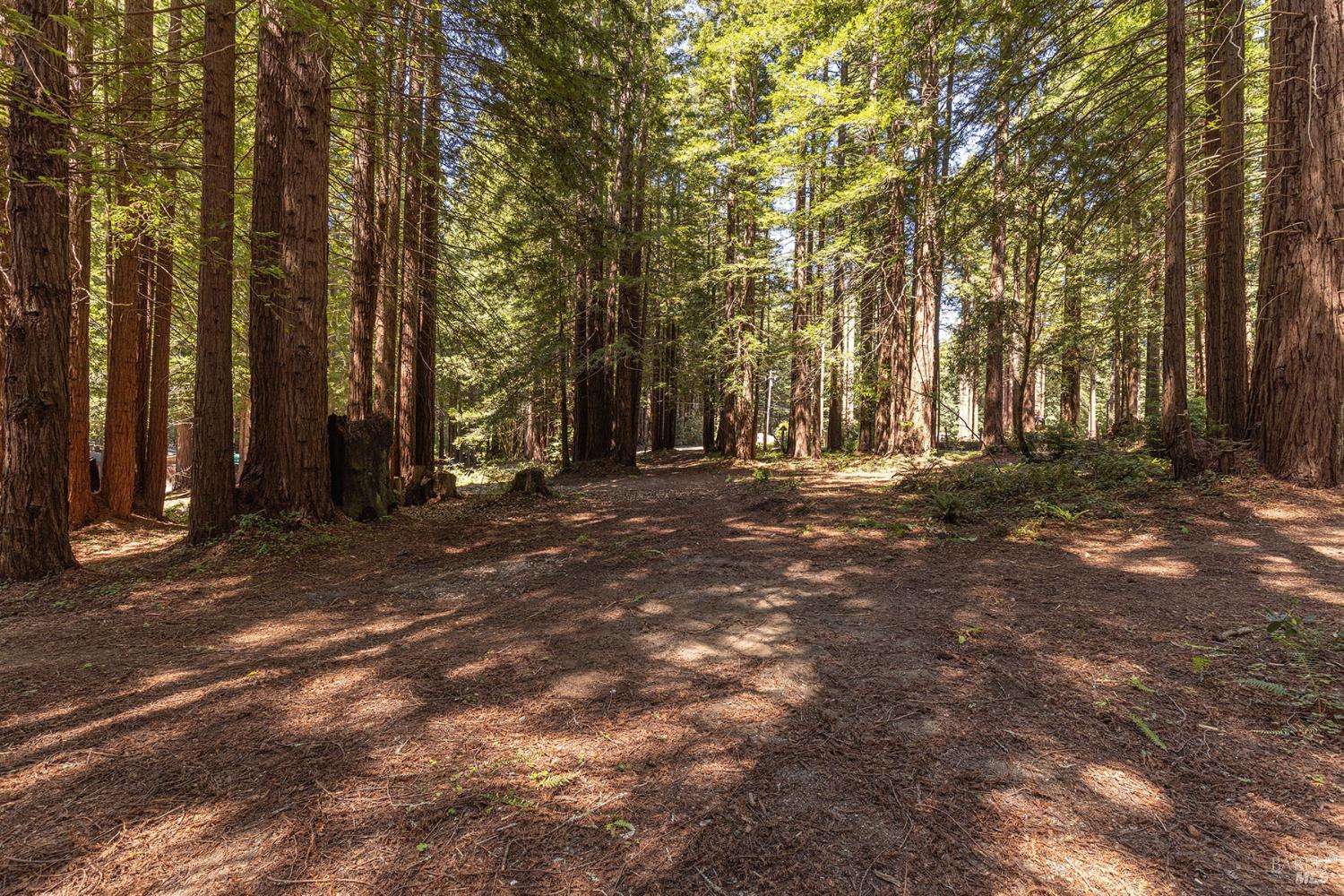 2264 Joy Ridge Road Occidental, CA 95465 - Photo 73 of 74