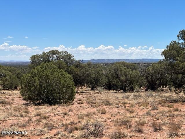 4135 Apache Road, Unit 665 666 667 668 Snowflake, AZ 85937 - Photo 1 of 12 20240427002527500453000000-o