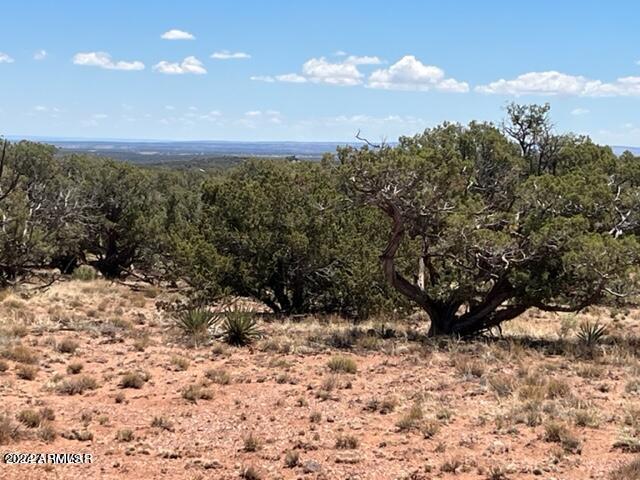 4135 Apache Road, Unit 665 666 667 668 Snowflake, AZ 85937 - Photo 5 of 12 20240427002529393440000000-o