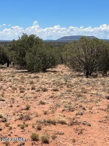 4135 Apache Road, Unit 665 666 667 668 Snowflake, AZ 85937 - Photo 6 of 12 20240427002529657356000000-o
