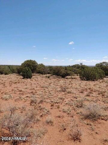 4135 Apache Road, Unit 665 666 667 668 Snowflake, AZ 85937 - Photo 7 of 12 20240427002529896432000000-o