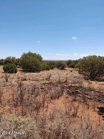 4135 Apache Road, Unit 665 666 667 668 Snowflake, AZ 85937 - Photo 9 of 12 20240427002530403796000000-o