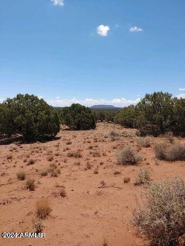 4135 Apache Road, Unit 665 666 667 668 Snowflake, AZ 85937 - Photo 10 of 12 20240427002530623569000000-o