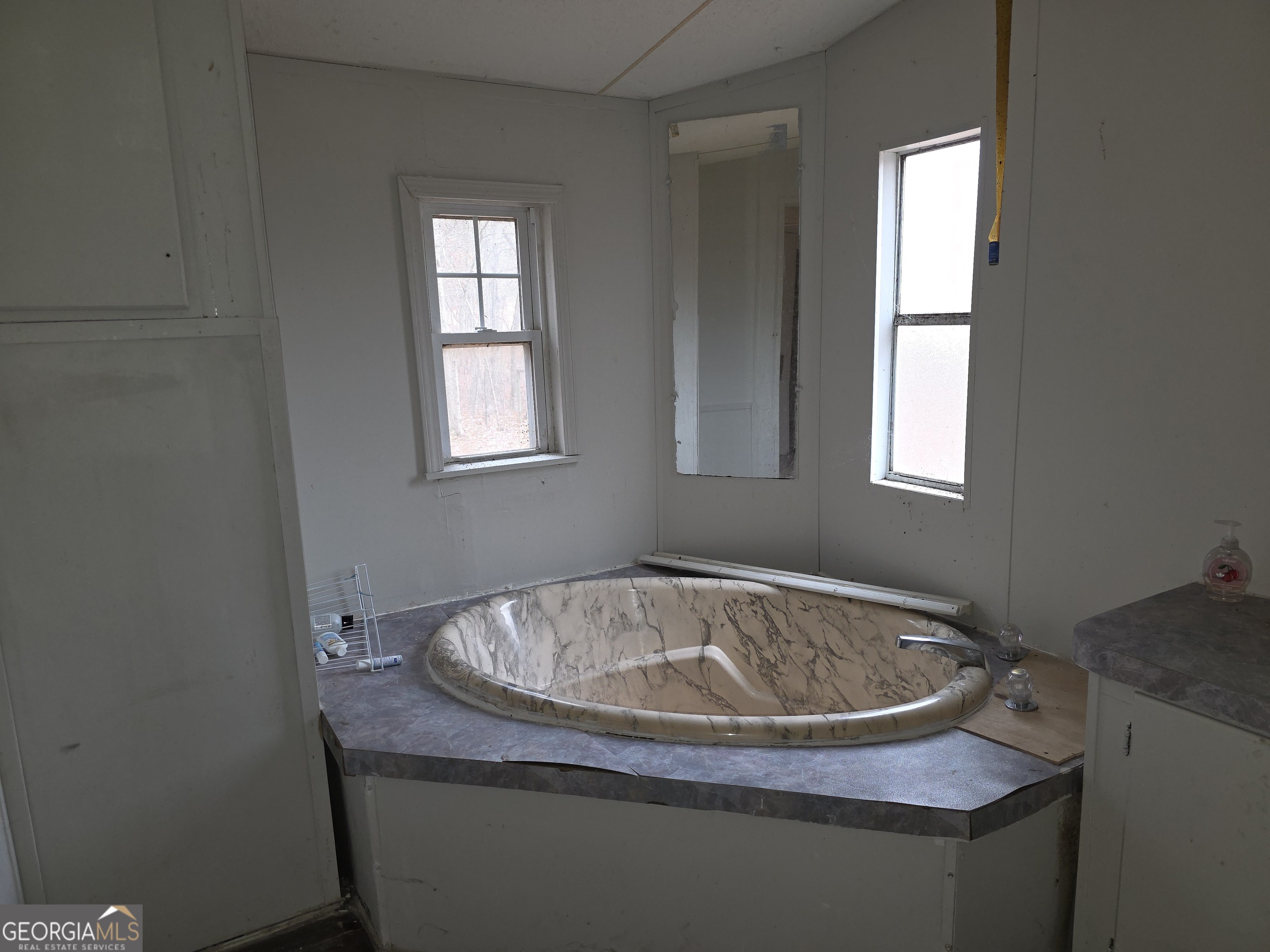 650 Wildcat Road Buchanan, GA 30113 - Photo 12 of 26 a bathroom with a tub