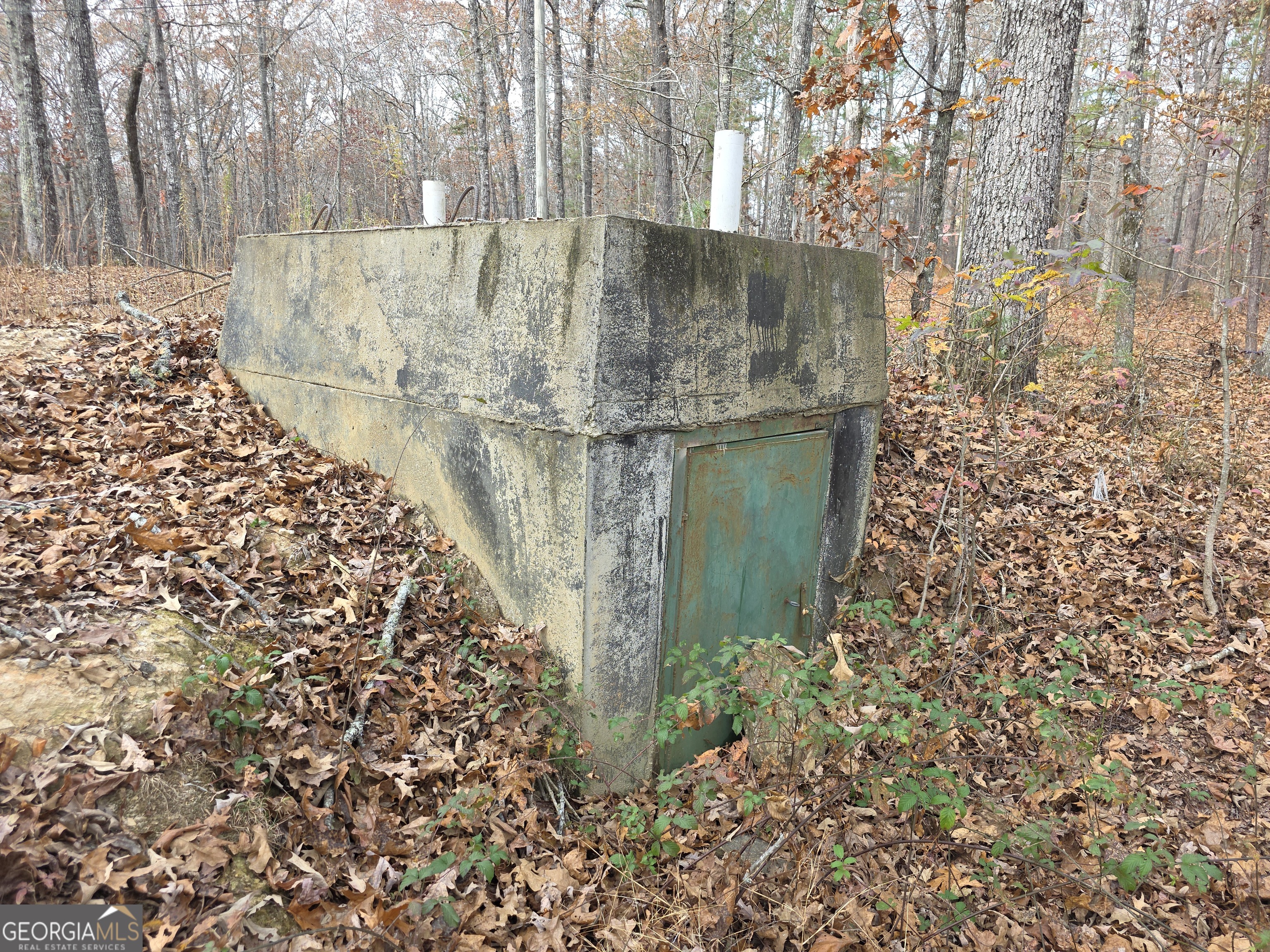 650 Wildcat Road Buchanan, GA 30113 - Photo 19 of 26 a view of a yard