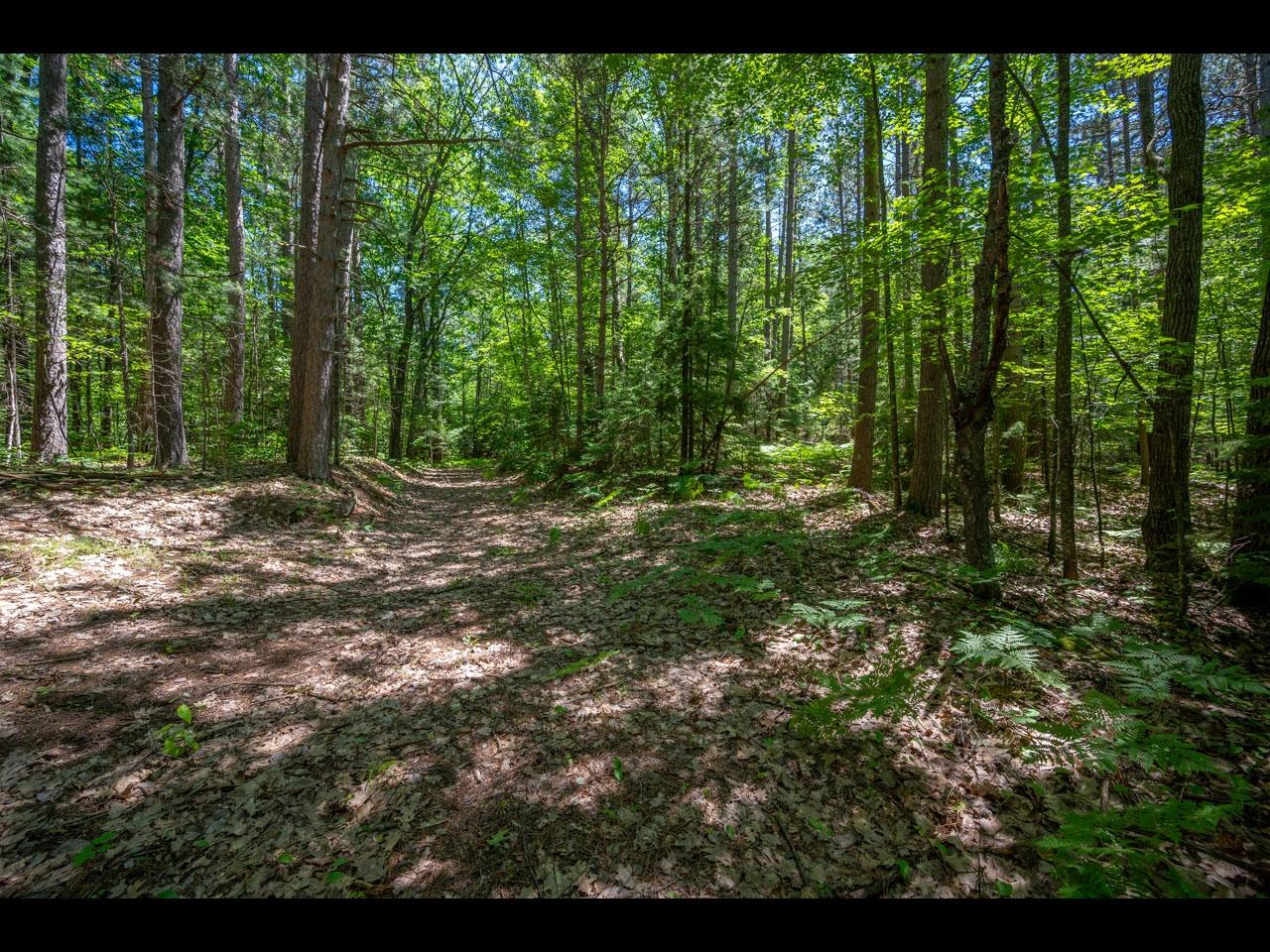 1-2 Carlson Road Land O'Lakes, WI 54540 - Photo 10 of 31 Gallery Image 10