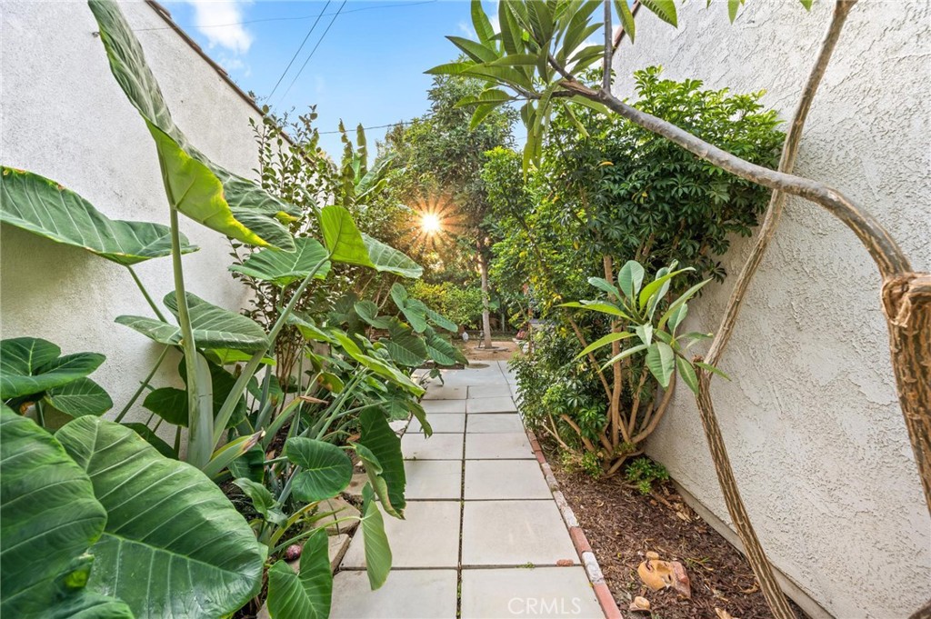 3441 Virginia Road Los Angeles, CA 90016 - Photo 30 of 40 a view of a garden with plants
