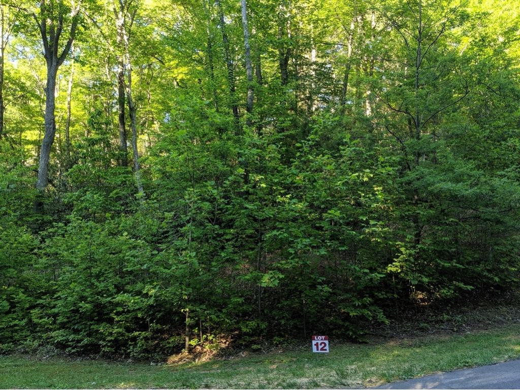 Lot 12 Pfeiffer Rdg Road, Unit 12 Johnson City, TN 37615 - Photo 9 of 14 Photo 9