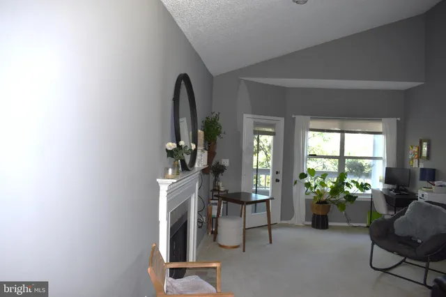 a living room with furniture a potted plant and a large window