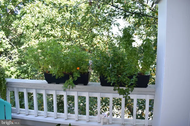 front view of a house with a tree