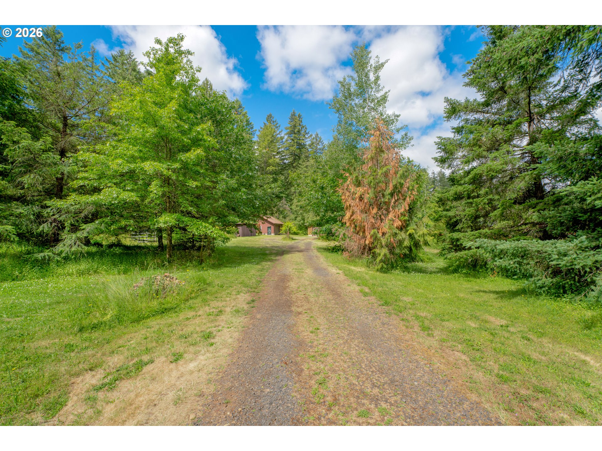 80558 Lost Creek Road Dexter, OR 97431 - Photo 44 of 48