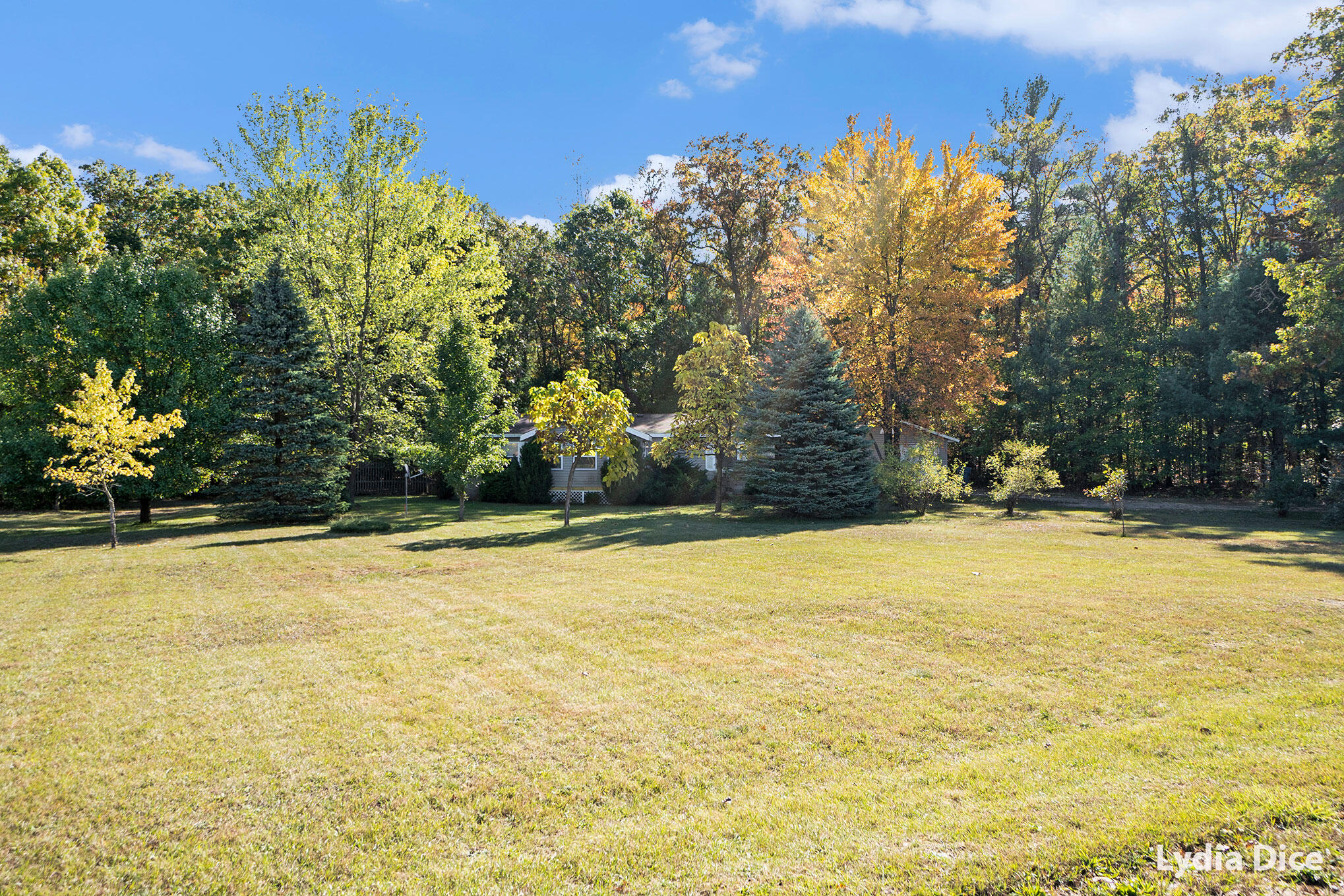 5150 Bass Lake Road Pierson, MI 49339 - Photo 19 of 21 19