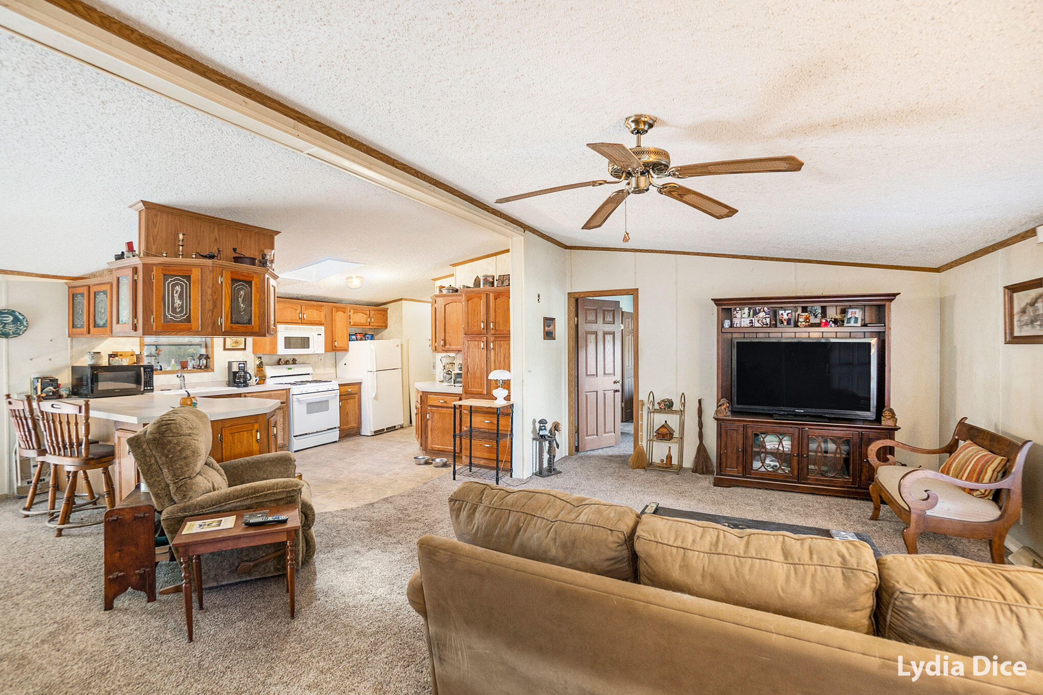 5150 Bass Lake Road Pierson, MI 49339 - Photo 3 of 21 3