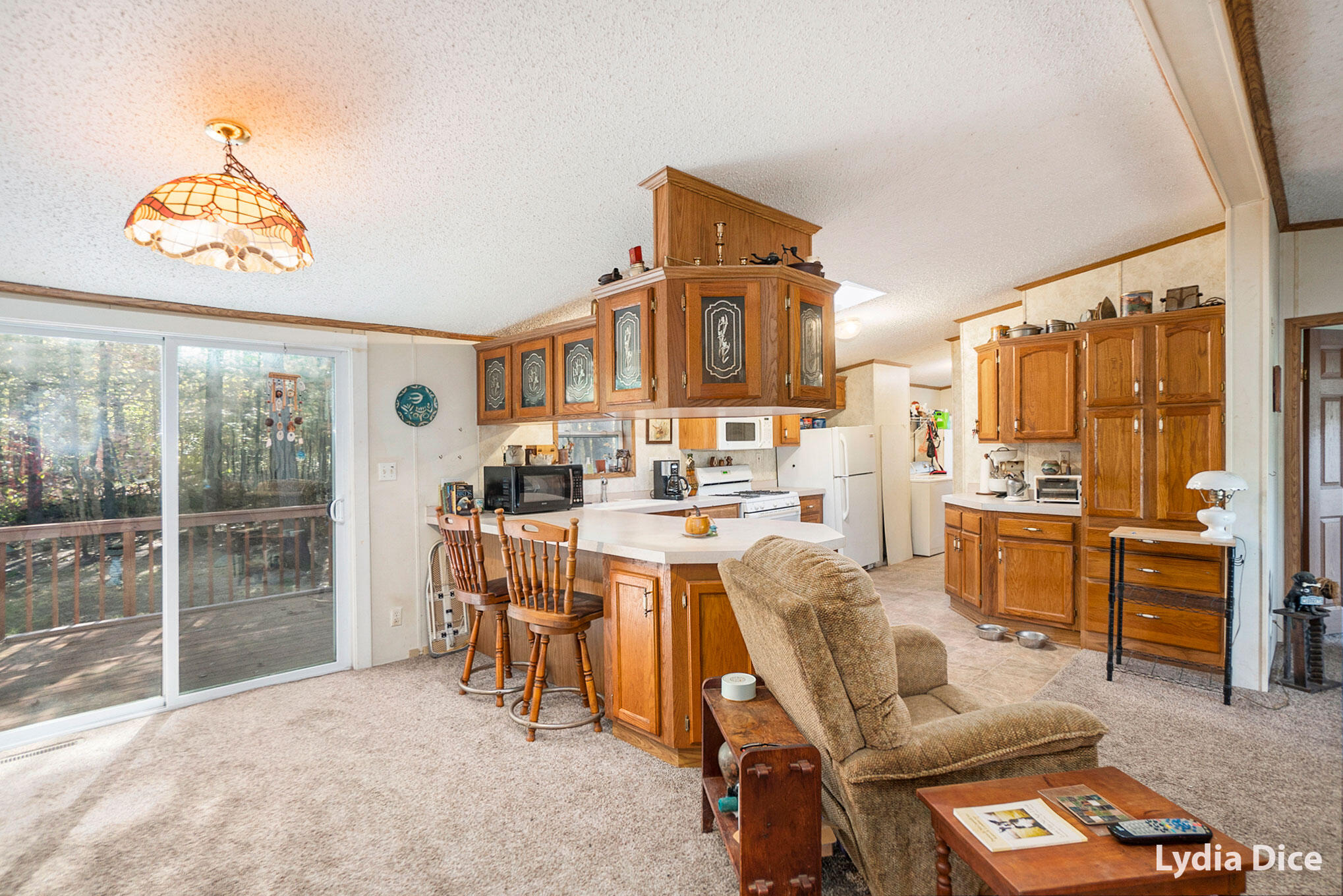5150 Bass Lake Road Pierson, MI 49339 - Photo 8 of 21 8