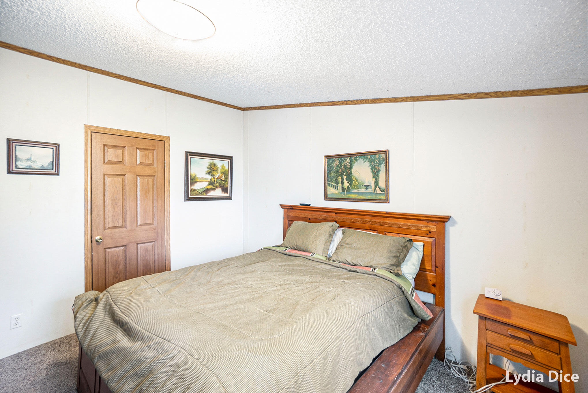 5150 Bass Lake Road Pierson, MI 49339 - Photo 10 of 21 10