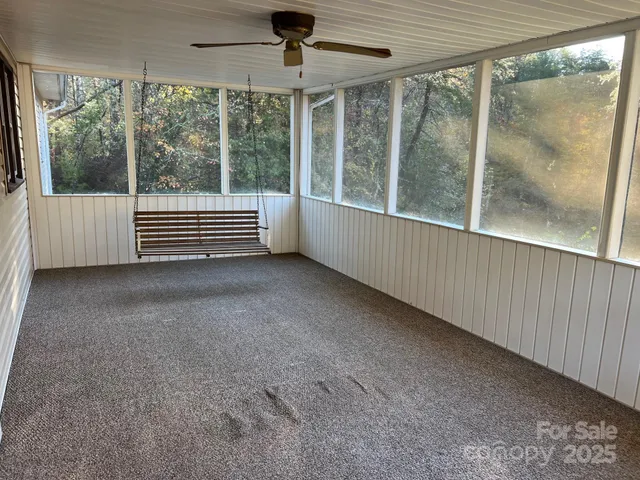 a view of a yard with a tree