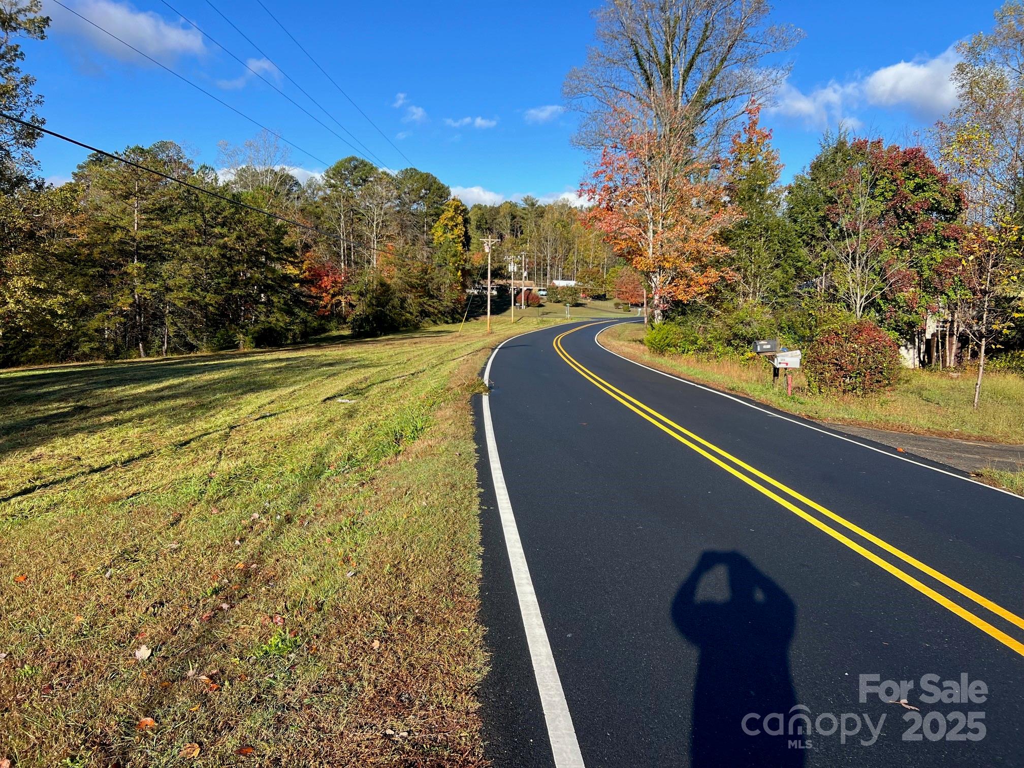 2819 Playmore Beach Road Morganton, NC 28655 - Photo 29 of 30 a view of a yard with a tree