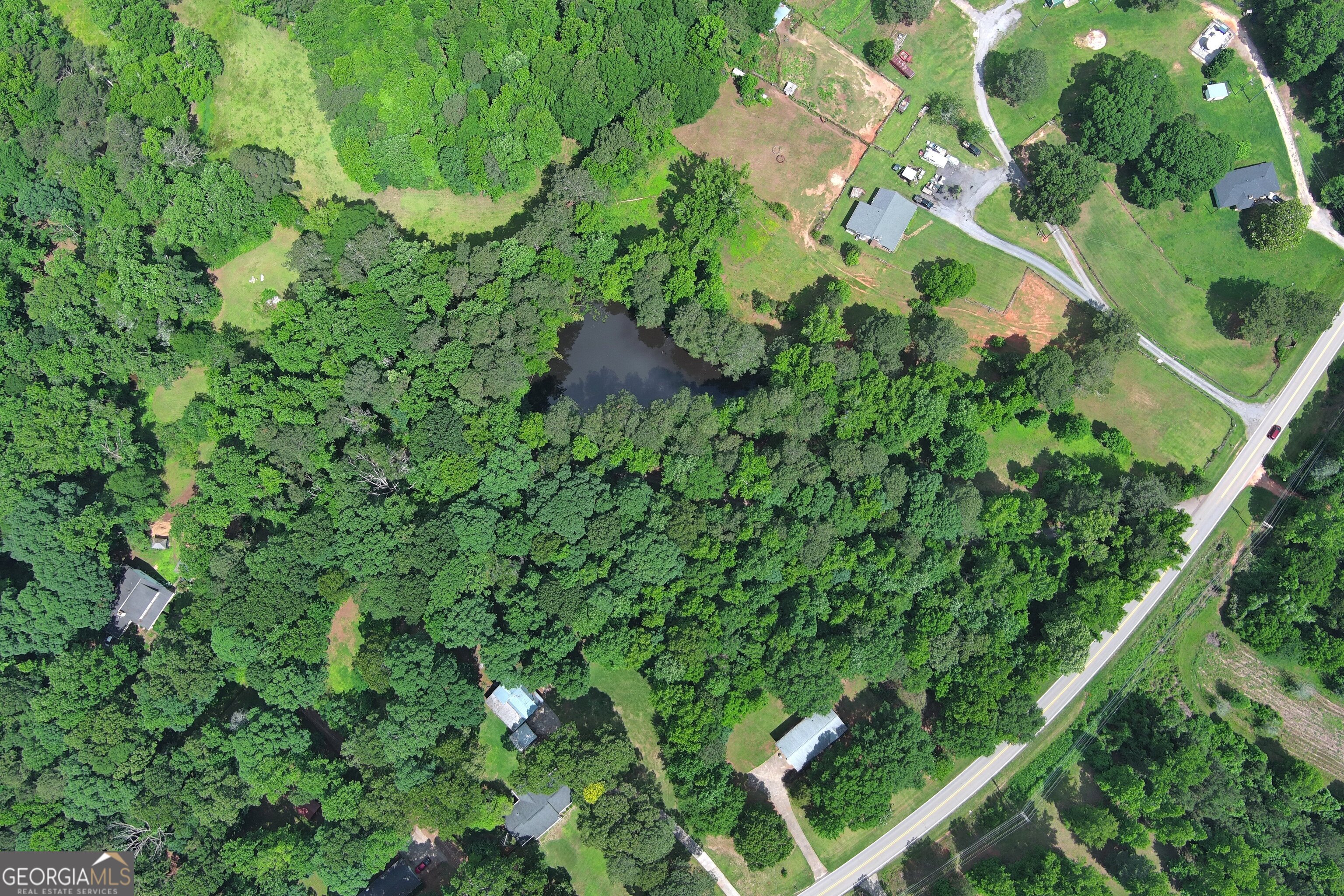 491 Thurman Road, Unit TRACT C Stockbridge, GA 30281 - Photo 11 of 18 a plant that is in a garden