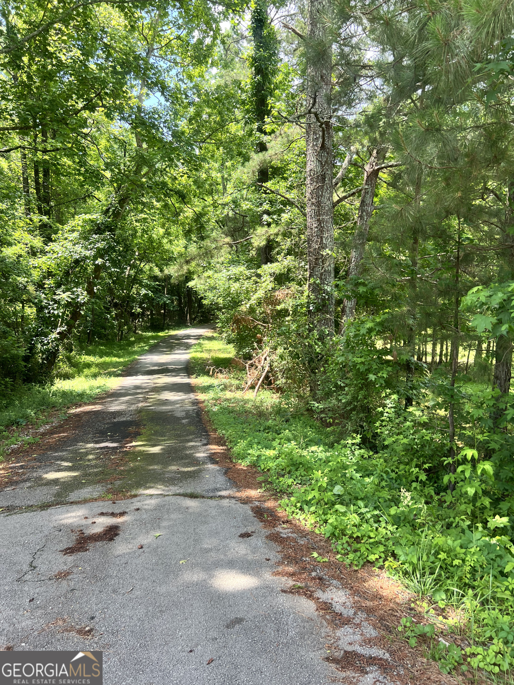 491 Thurman Road, Unit TRACT C Stockbridge, GA 30281 - Photo 3 of 18 a view of a road with a yard