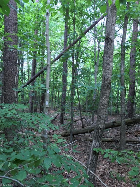 Lot 3 Eden Church Road Madison, NC 27025 - Photo 11 of 15 Gallery Image 11