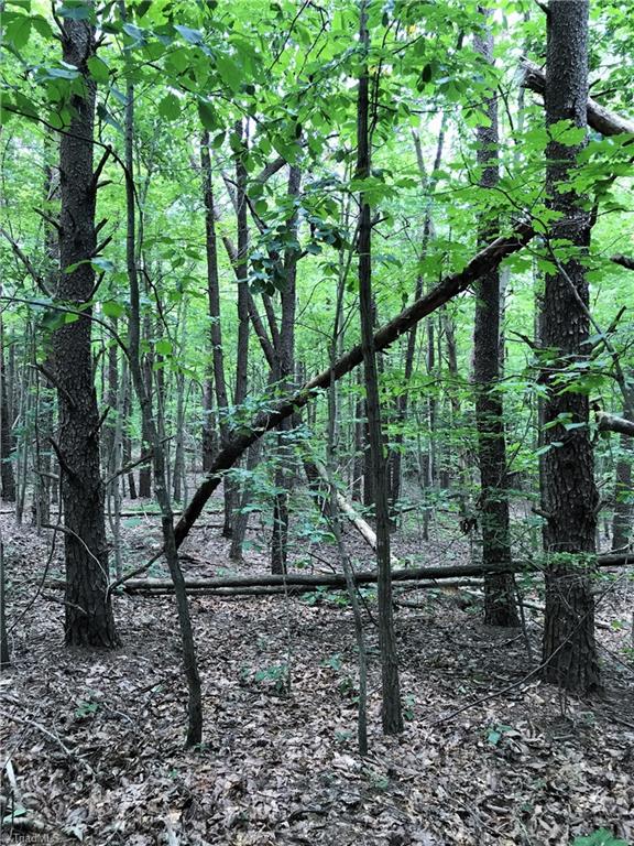 Lot 3 Eden Church Road Madison, NC 27025 - Photo 12 of 15 Gallery Image 12